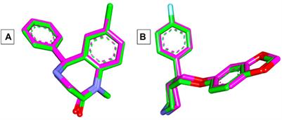 Exploring the sedative properties of natural molecules from hop cones (Humulus lupulus) as promising natural anxiolytics through GABA receptors and the human serotonin transporter